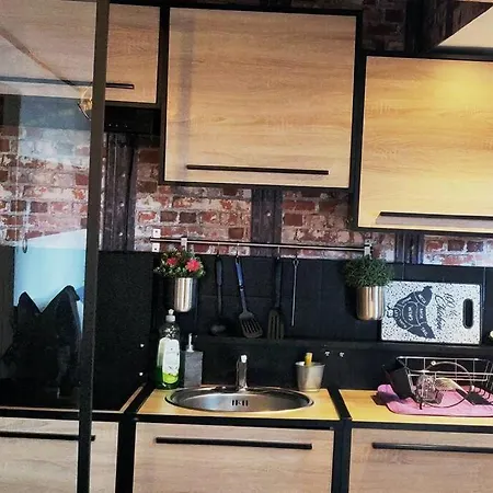 2 Chambres Avec Terrasse Centre-ville Daire *